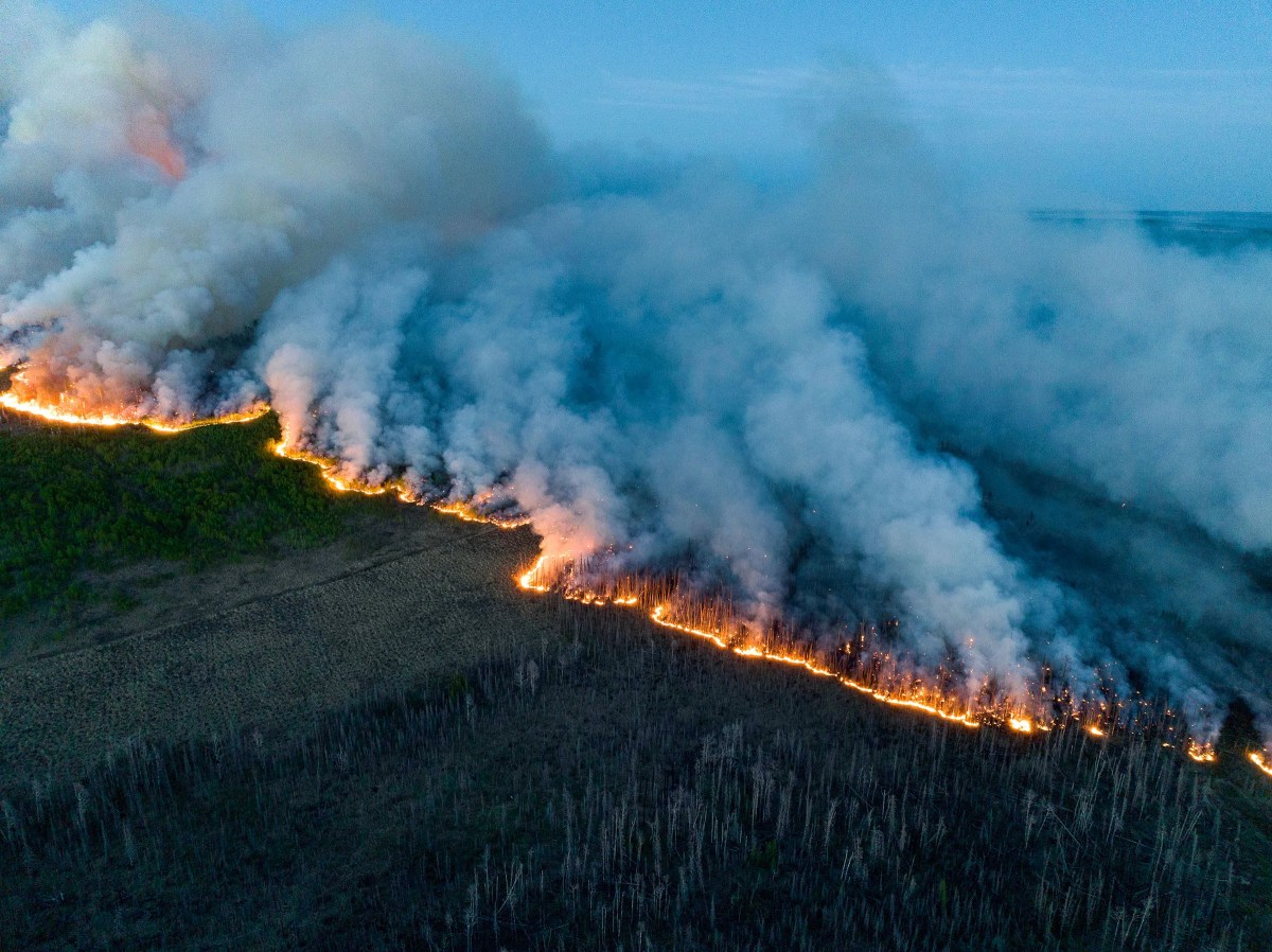 Wildfires fires fivethirtyeight destructive standards